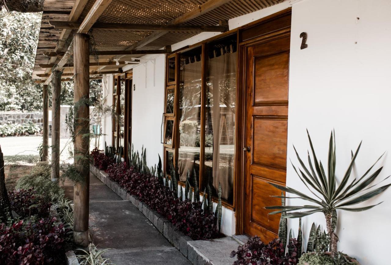 Hotel Olivos 3*
